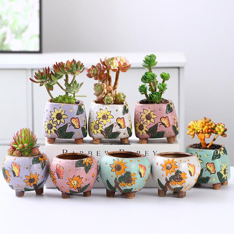 Korean Style Sunflower Pattern - Echeveria Succulent 评论和价格