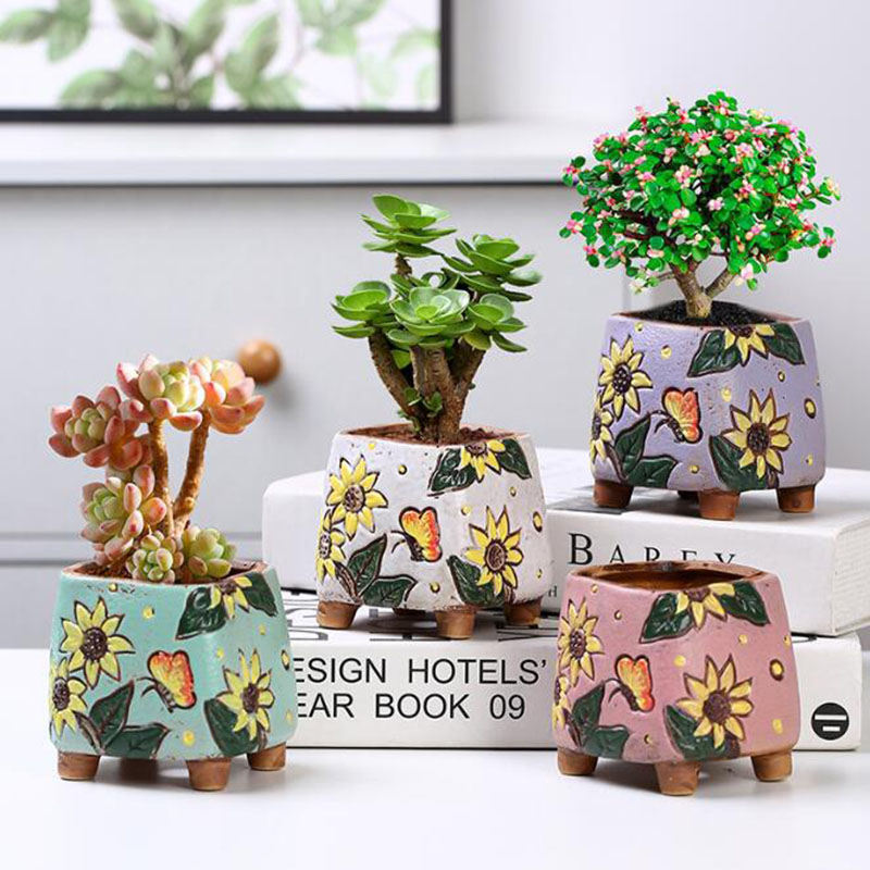 Korean Style Sunflower Pattern - Echeveria Succulent 评论和价格
