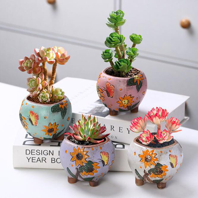 Korean Style Sunflower Pattern - Echeveria Succulent 评论和价格
