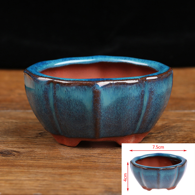 1pcs Bonsai Mini Ceramic Flowe - Echeveria Succulent 评论和价格