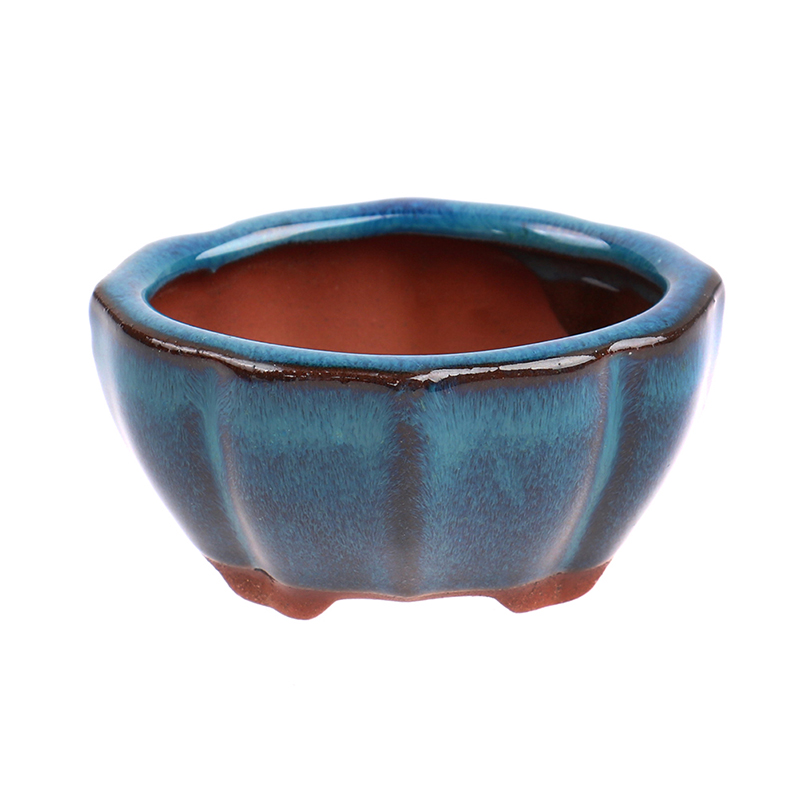 1pcs Bonsai Mini Ceramic Flowe - Echeveria Succulent 评论和价格