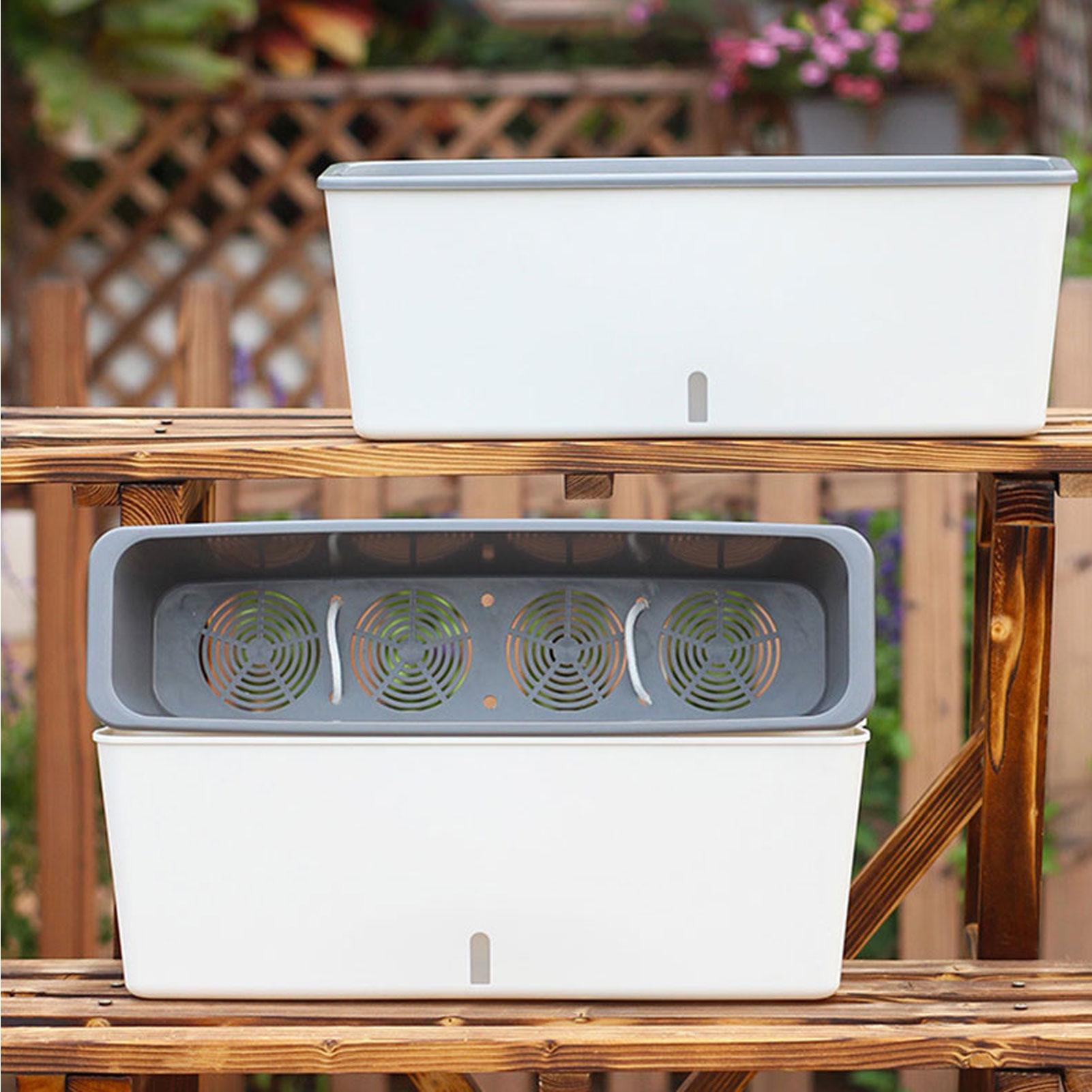 Self-Watering Planter Pots wit - Aloe Vera Pot 评论和价格