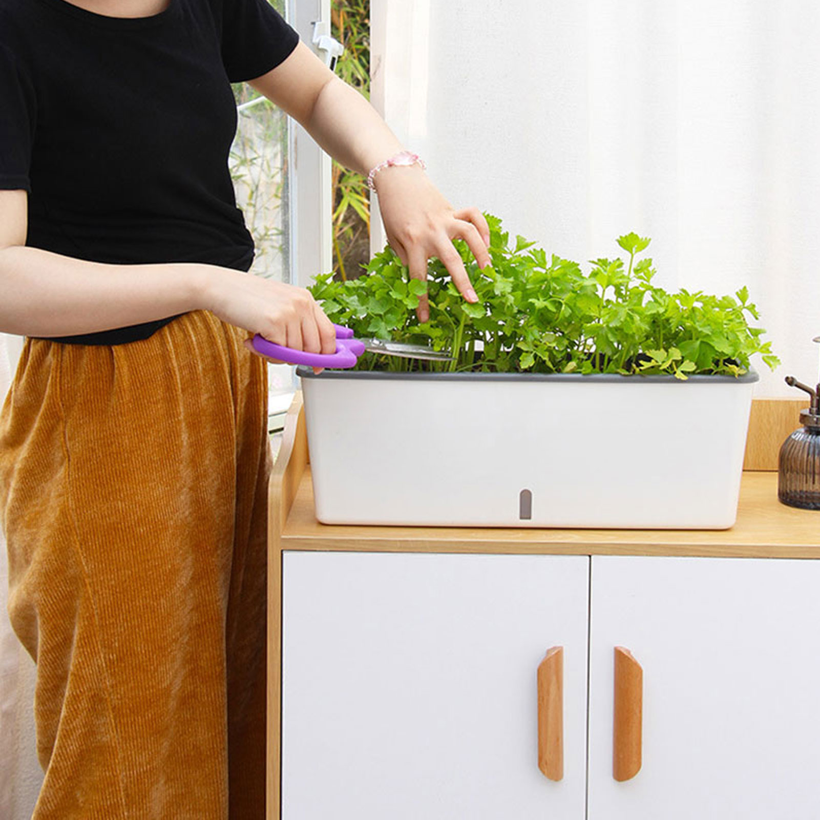 Self-Watering Planter Pots wit - Aloe Vera Pot 评论和价格