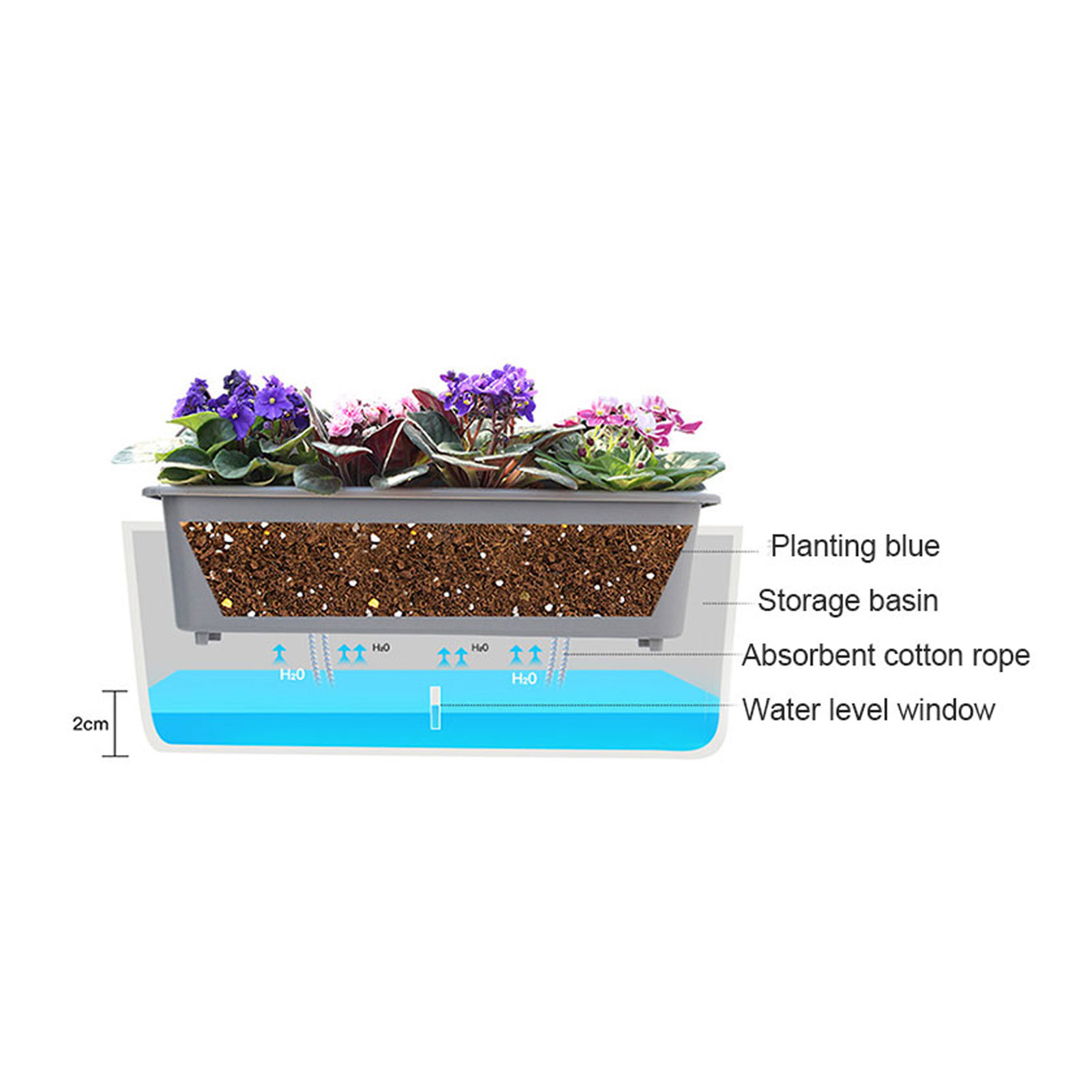Self-Watering Planter Pots wit - Aloe Vera Pot 评论和价格
