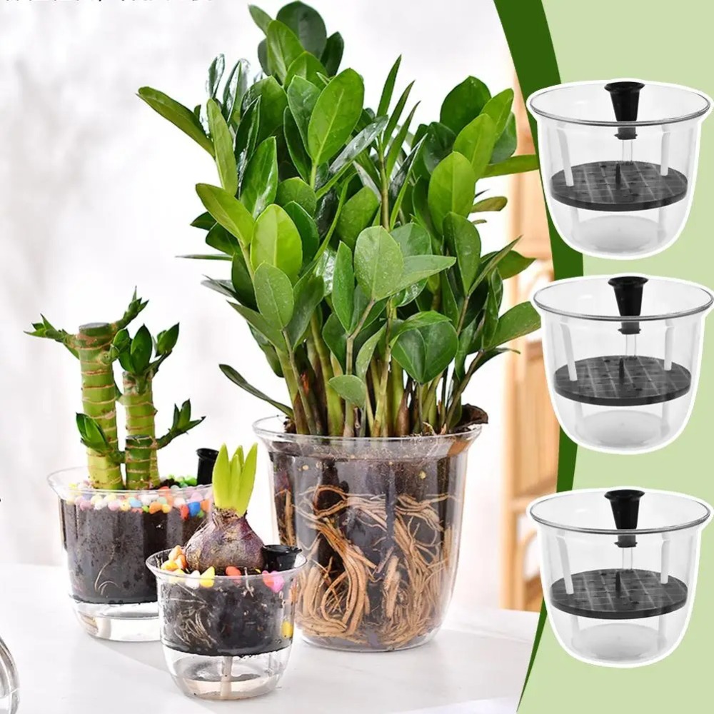 2Pcs Self-Watering Pot, Pots f - Aloe Vera Pot 评论和价格