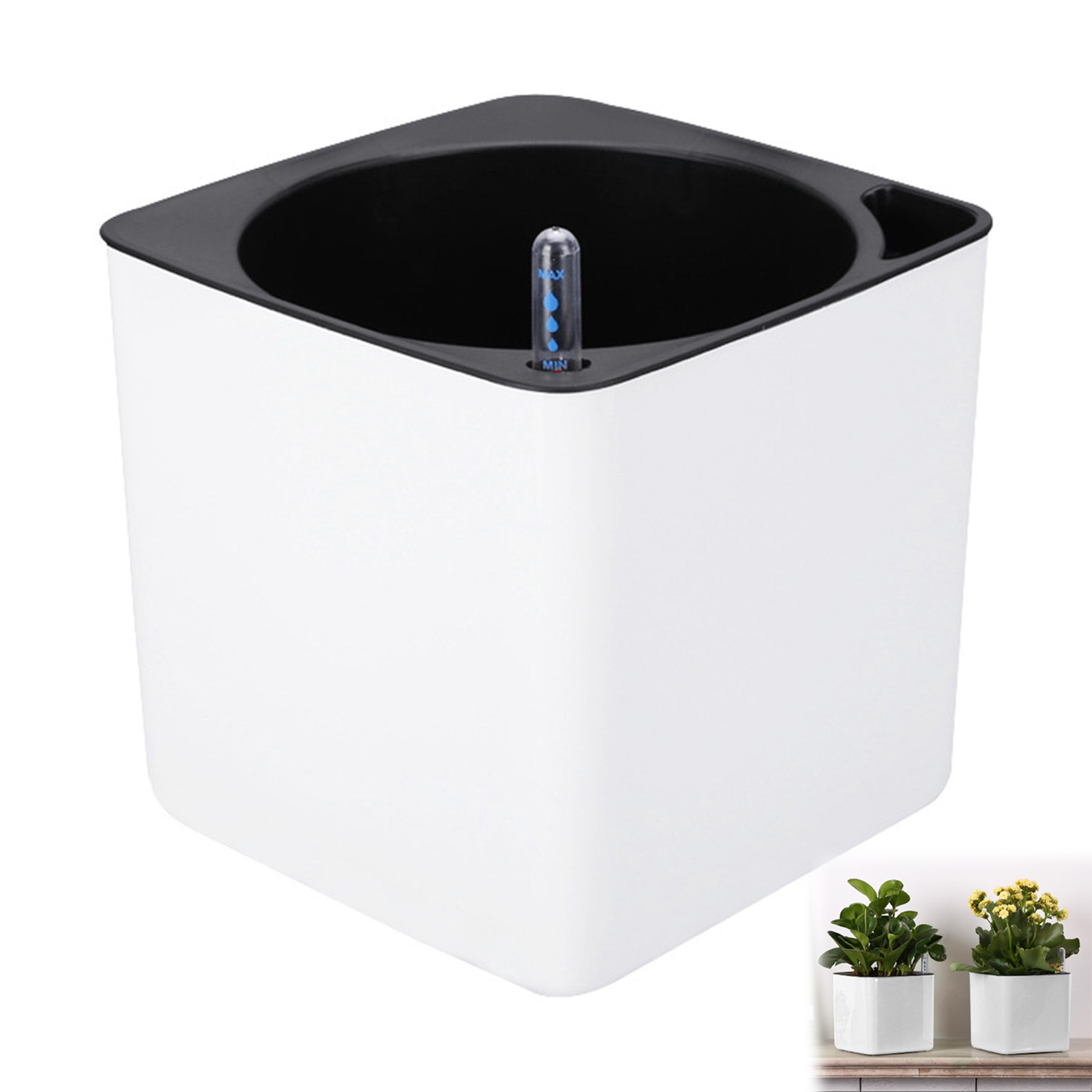 Automatic Self Watering Flower - Aloe Vera Pot 评论和价格
