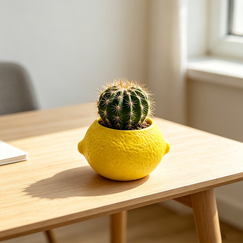 Lemon Shape Decorative Planter - Echeveria Succulent 评论和价格