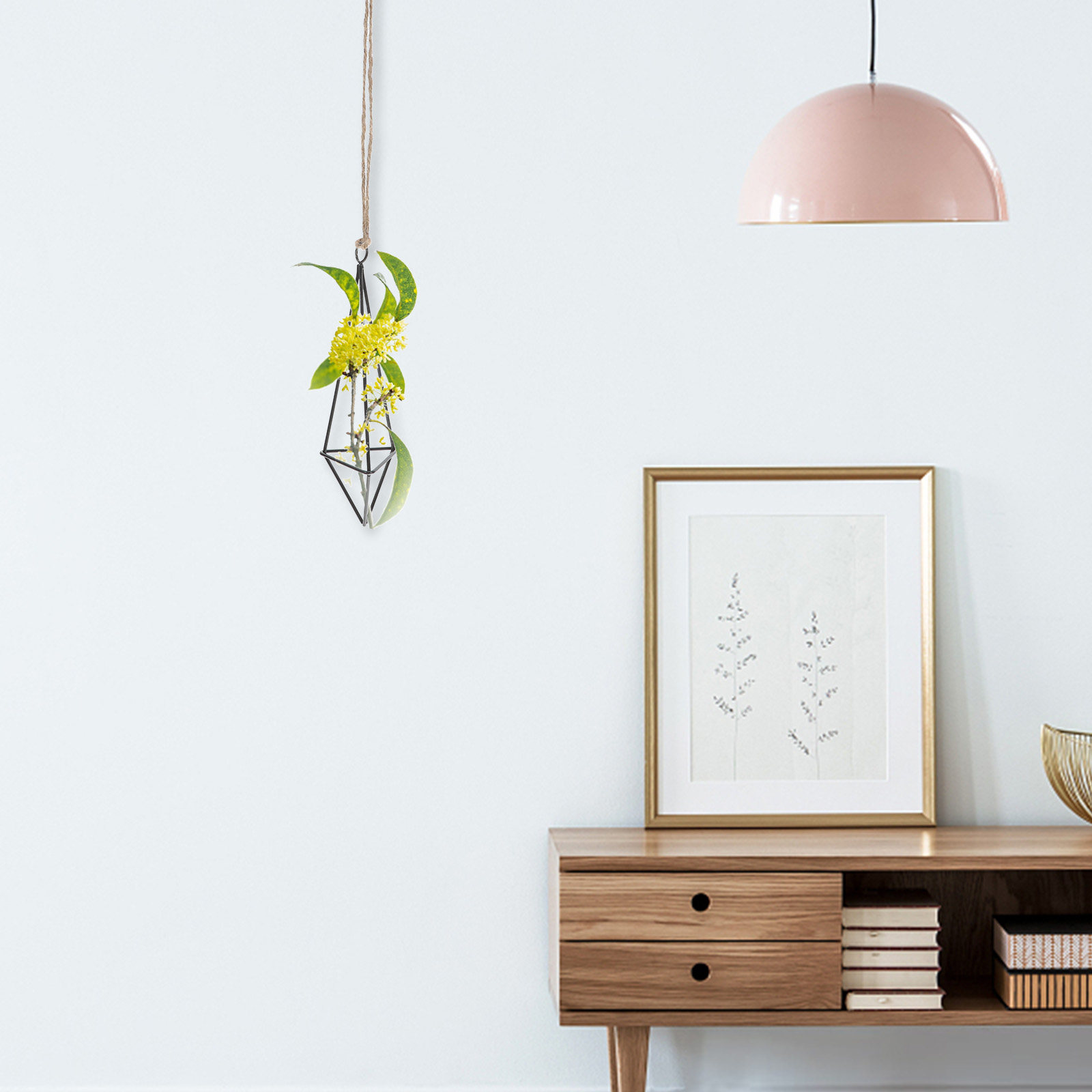 Metal Air Plant Holder Hanging - Spider Plant Hanging 评论和价格