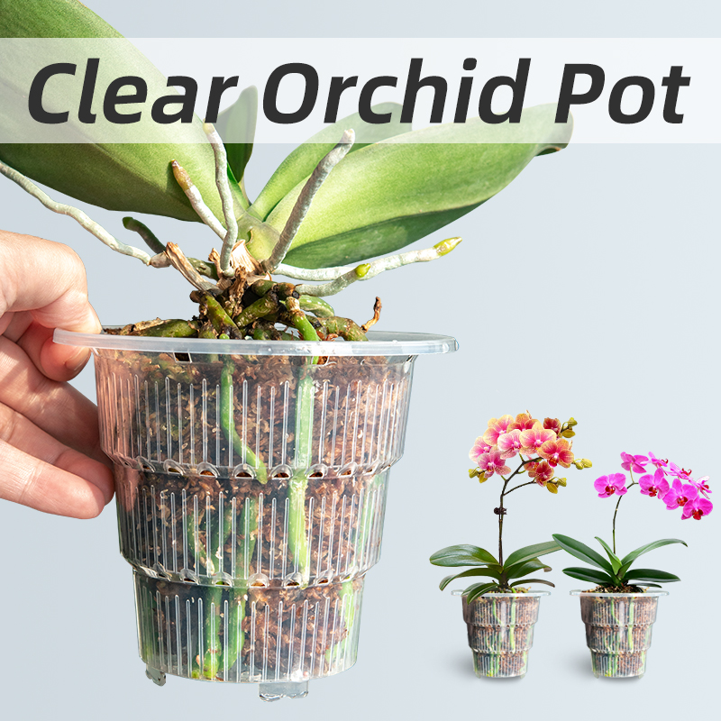 Meshpot Clear Plastic Orchid P - Aloe Vera Pot 评论和价格