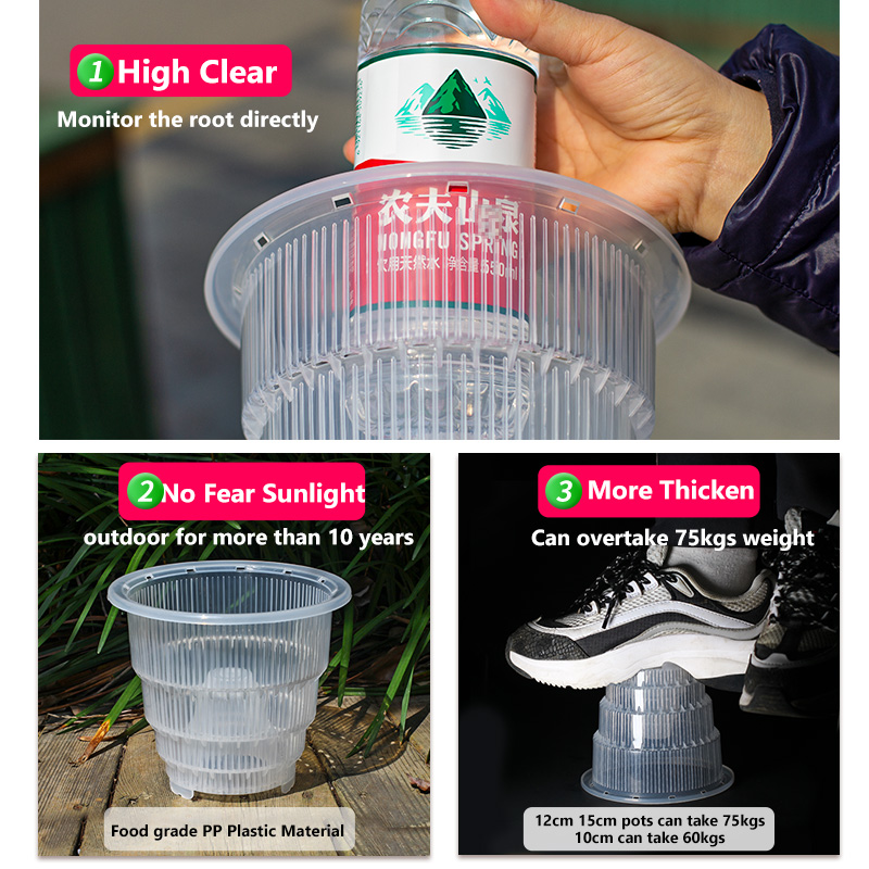 Meshpot Clear Plastic Orchid P - Aloe Vera Pot 评论和价格