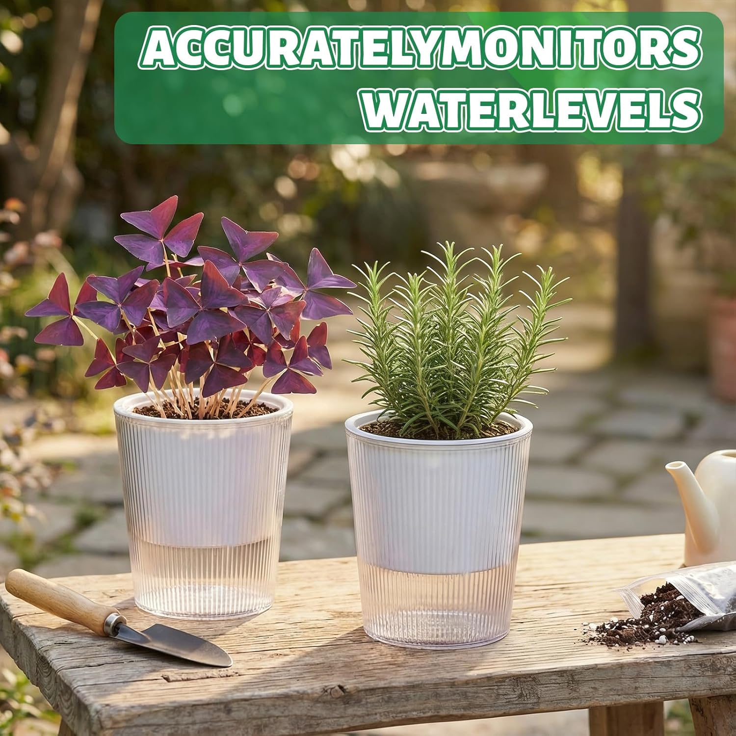 Clear Self Watering Planters P - Aloe Vera Pot 评论和价格