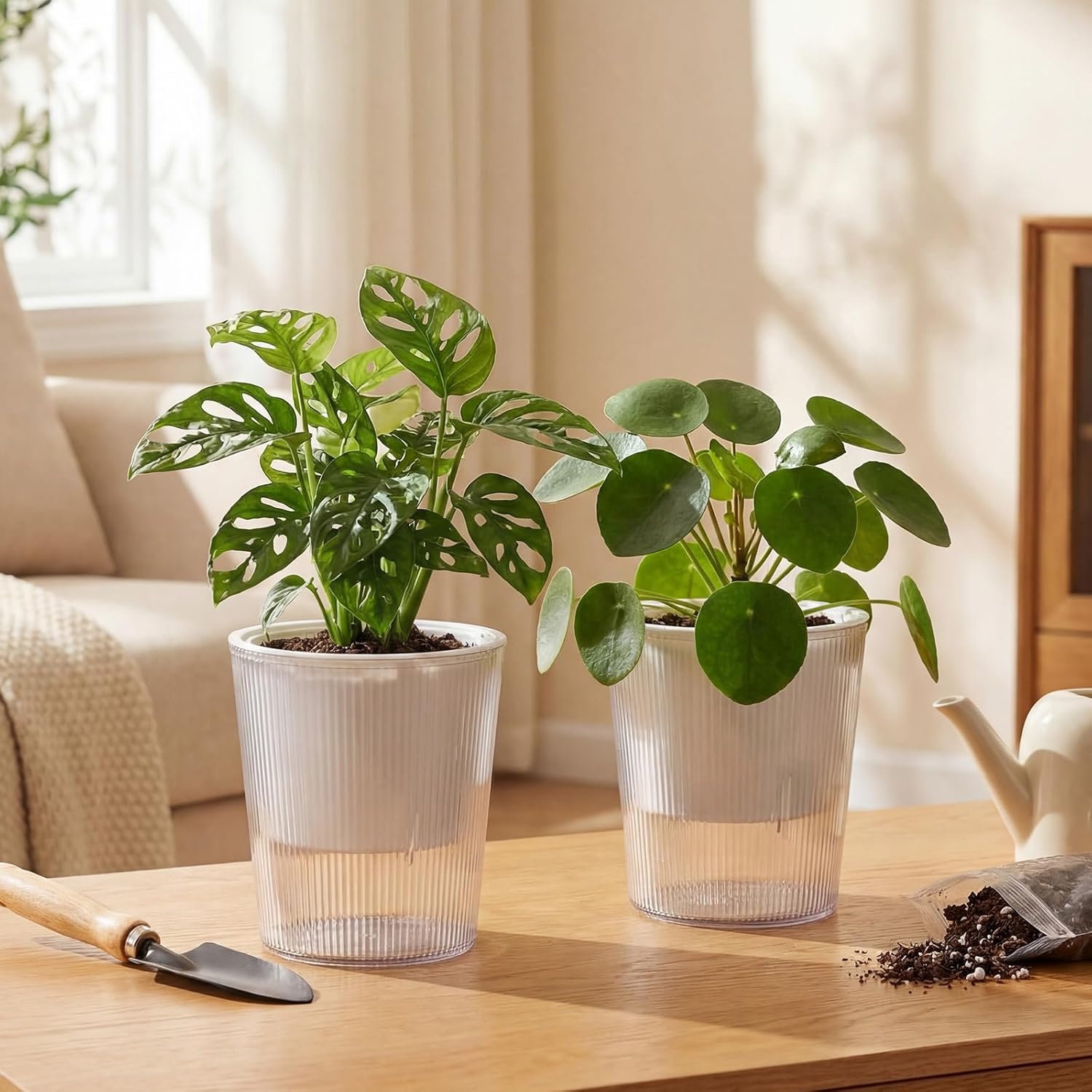 Clear Self Watering Planters P - Aloe Vera Pot 评论和价格