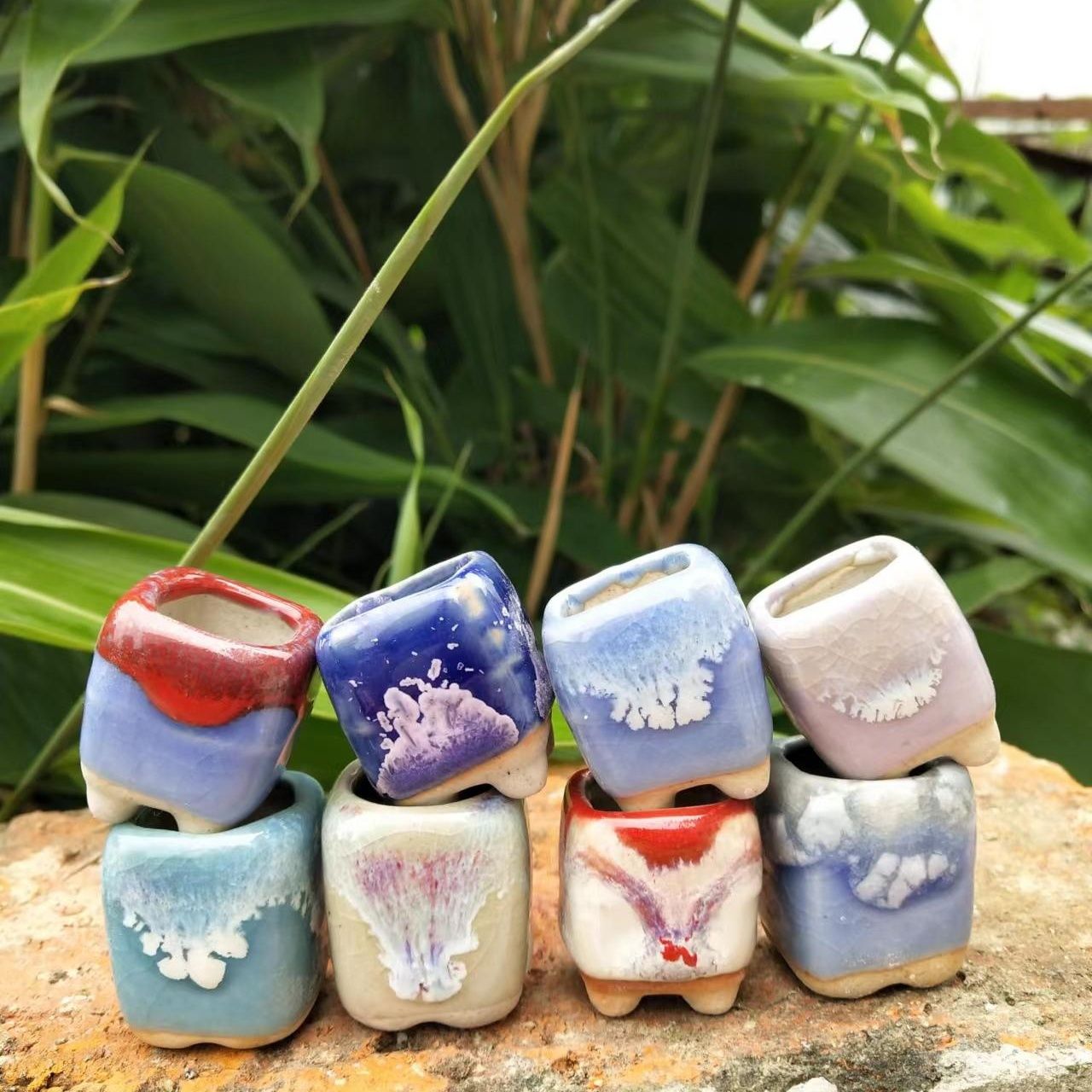 10Pcs Mini Ceramics Fowerpot M - Echeveria Succulent 评论和价格