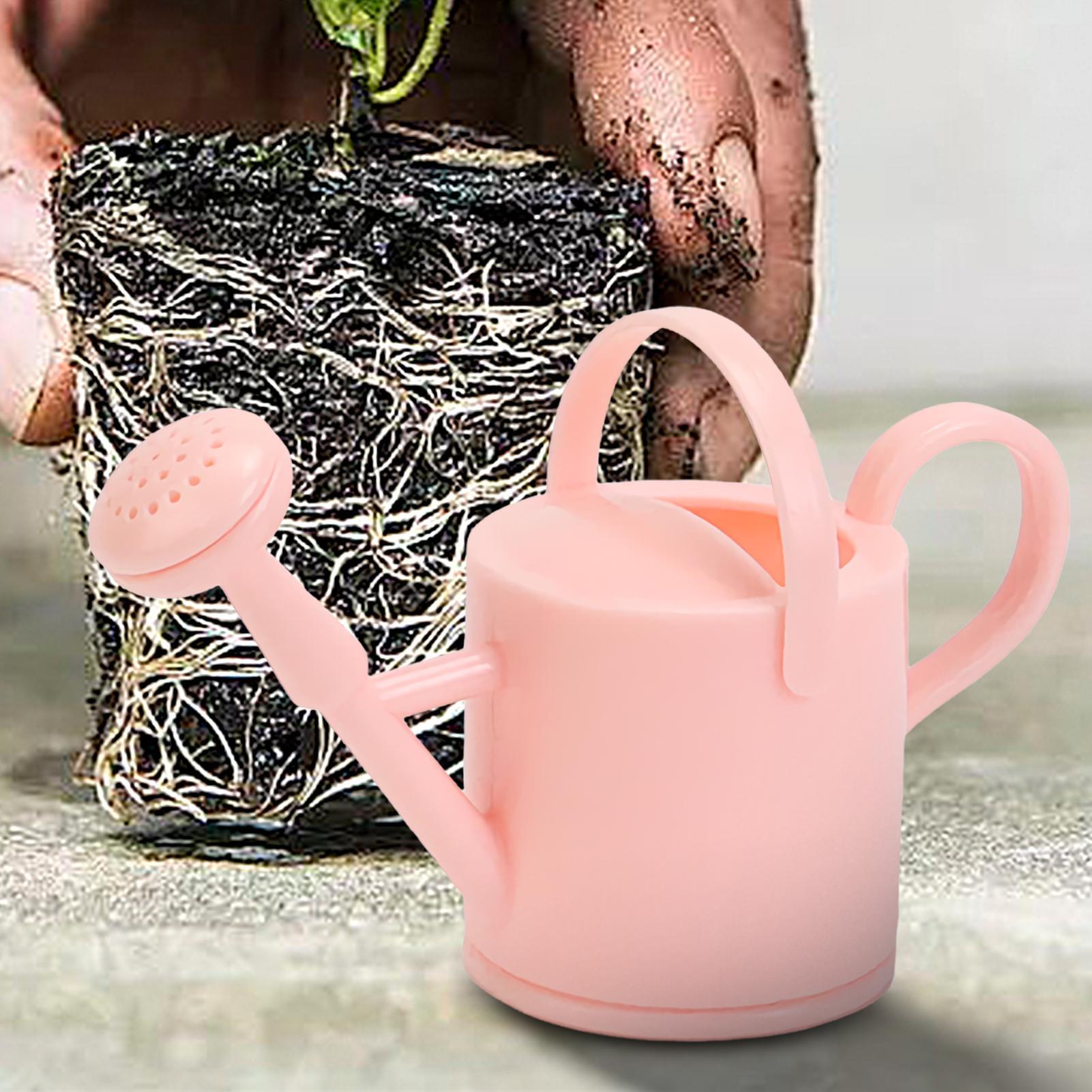 Small Kids Watering Can Flexib - Echeveria Succulent 评论和价格