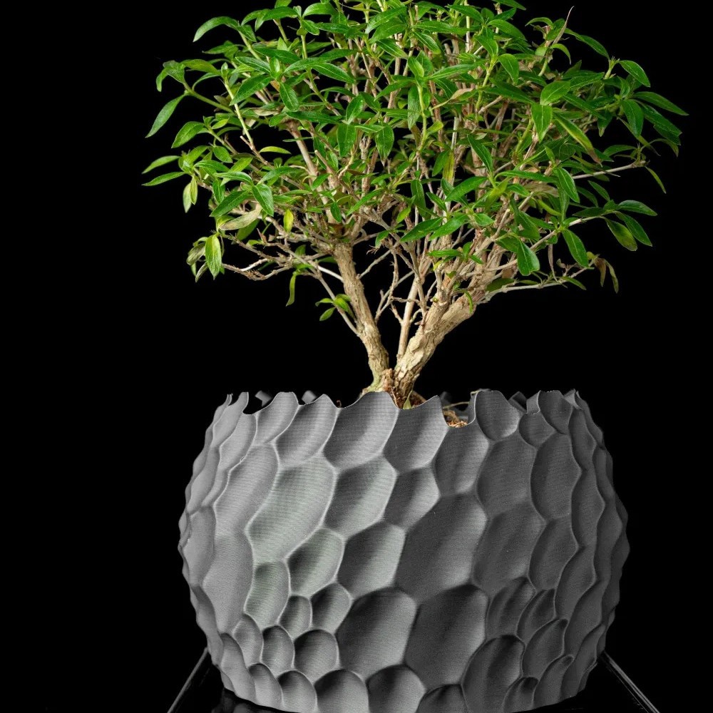 Textured Flower Pot Irregular  - Echeveria Succulent 评论和价格