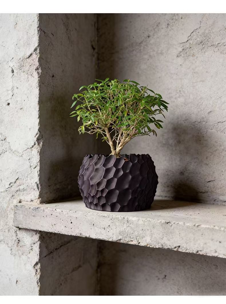 Textured Flower Pot Irregular  - Echeveria Succulent 评论和价格