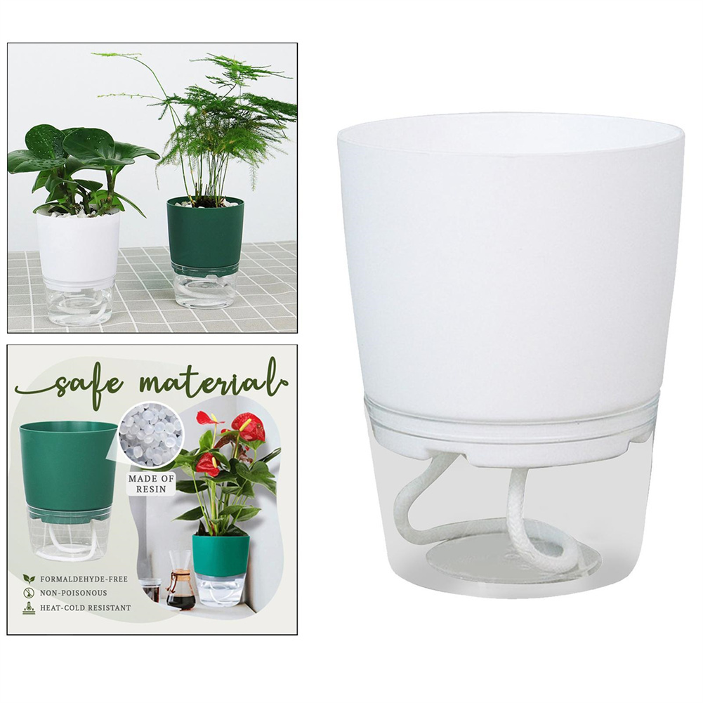 Lazy Hydroponic Flower Pot Aut - Aloe Vera Pot 评论和价格
