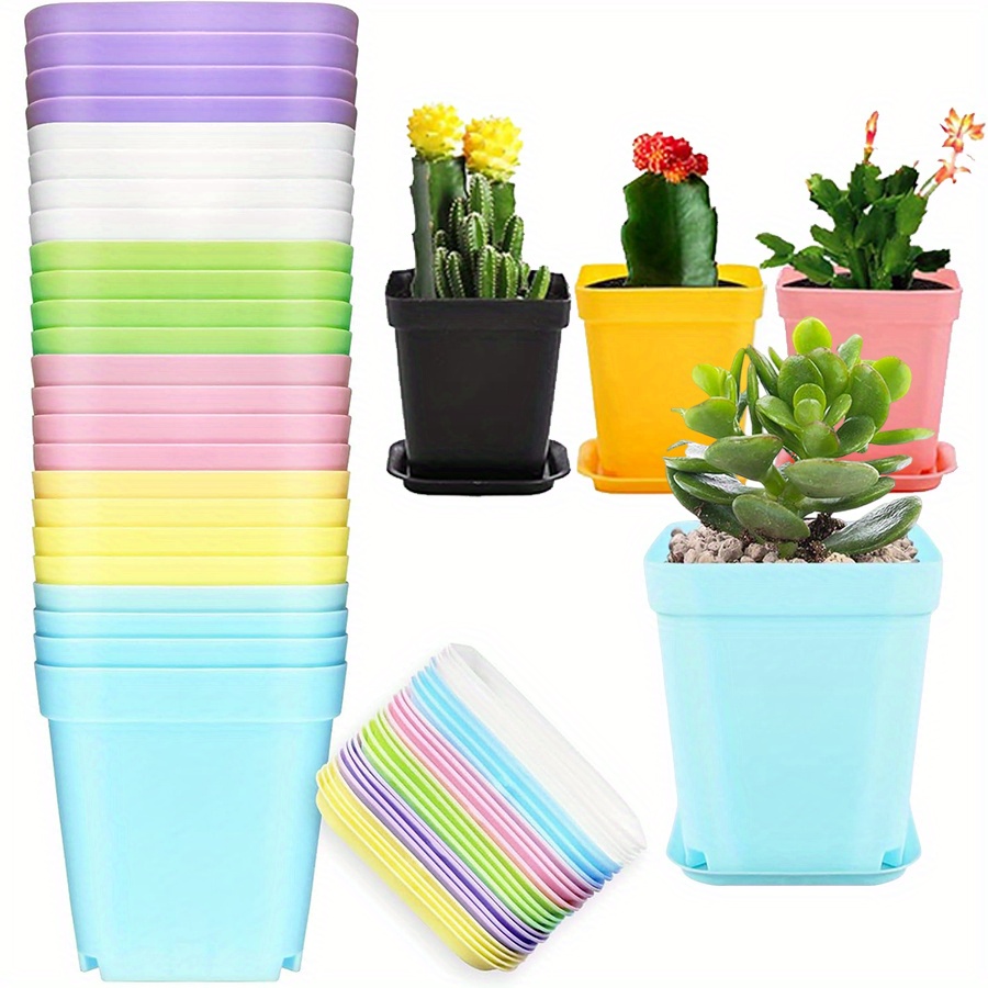 12pcs 7cm Plastic Square Pots  - Aloe Vera Pot 评论和价格