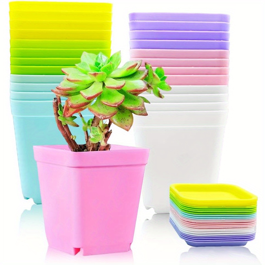 12pcs 7cm Plastic Square Pots  - Aloe Vera Pot 评论和价格