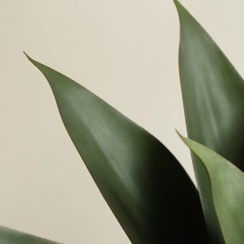 Artificial Potted Aloe Vera Pl - Aloe Vera Pot 评论和价格