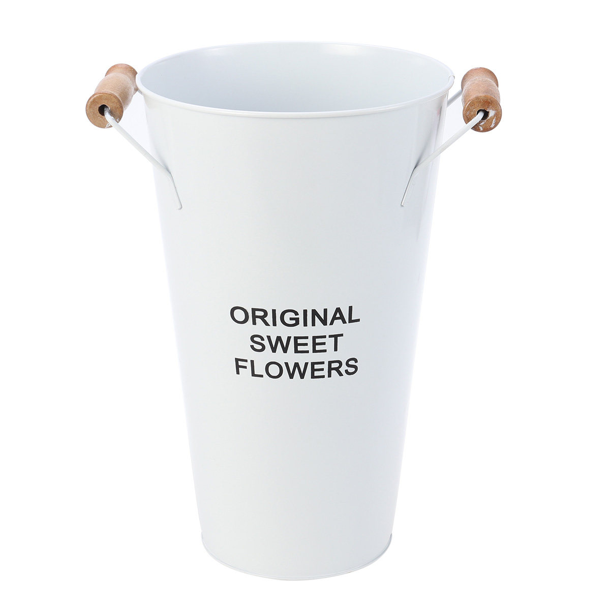 Wrought Iron Flower Vase Deskt - Aloe Vera Pot 评论和价格